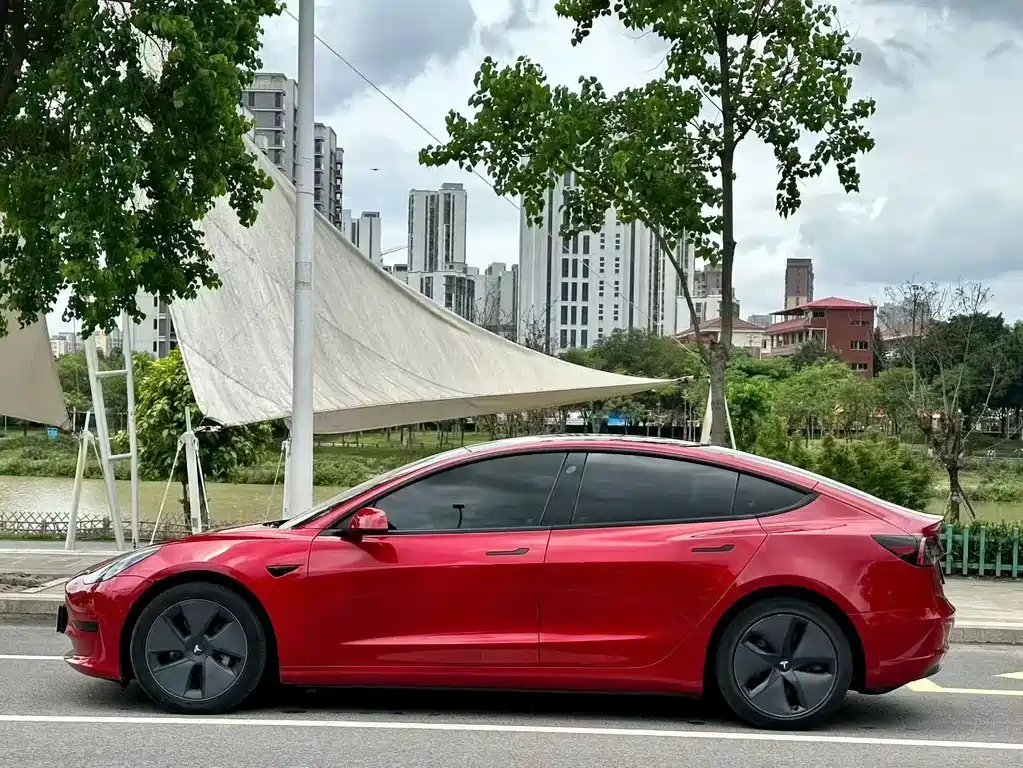 Tesla Model 3 2021 — фото 3