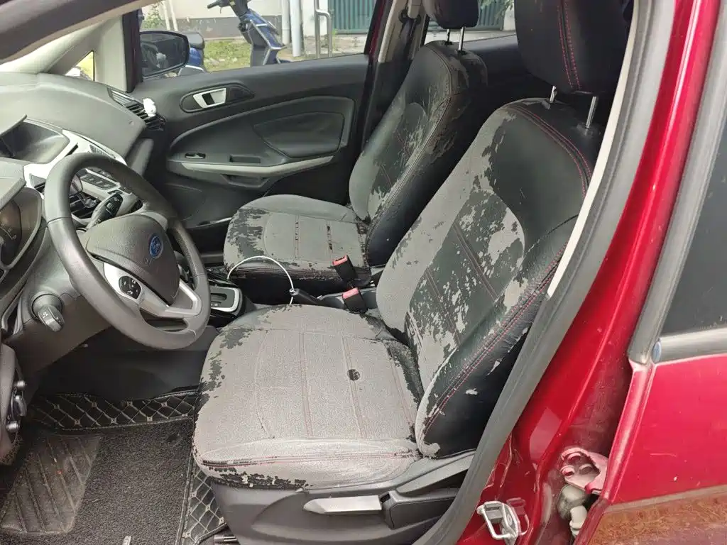 Ford EcoSport 2015 — фото 8