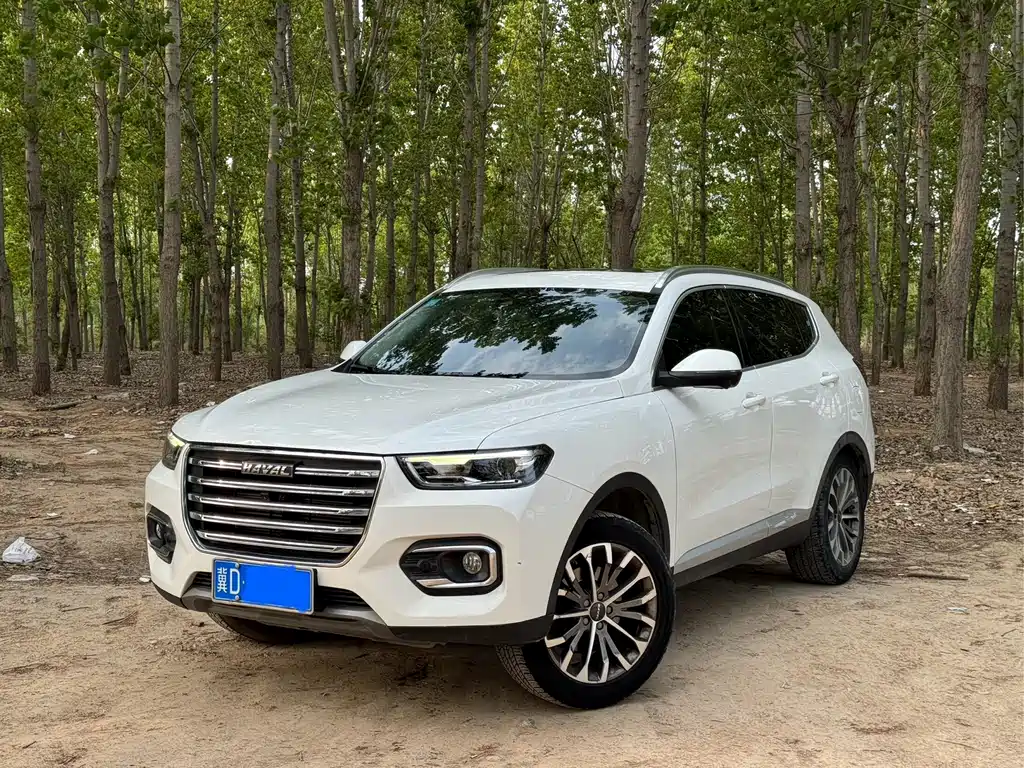 Haval H6 2020 — фото 1