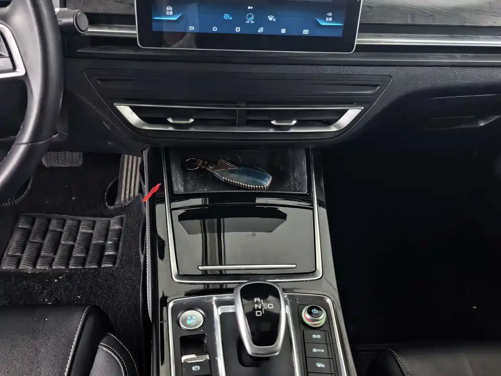 BYD Qin Pro NEV 2020 — фото 10