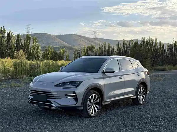 BYD Song PLUS New Energy 2024