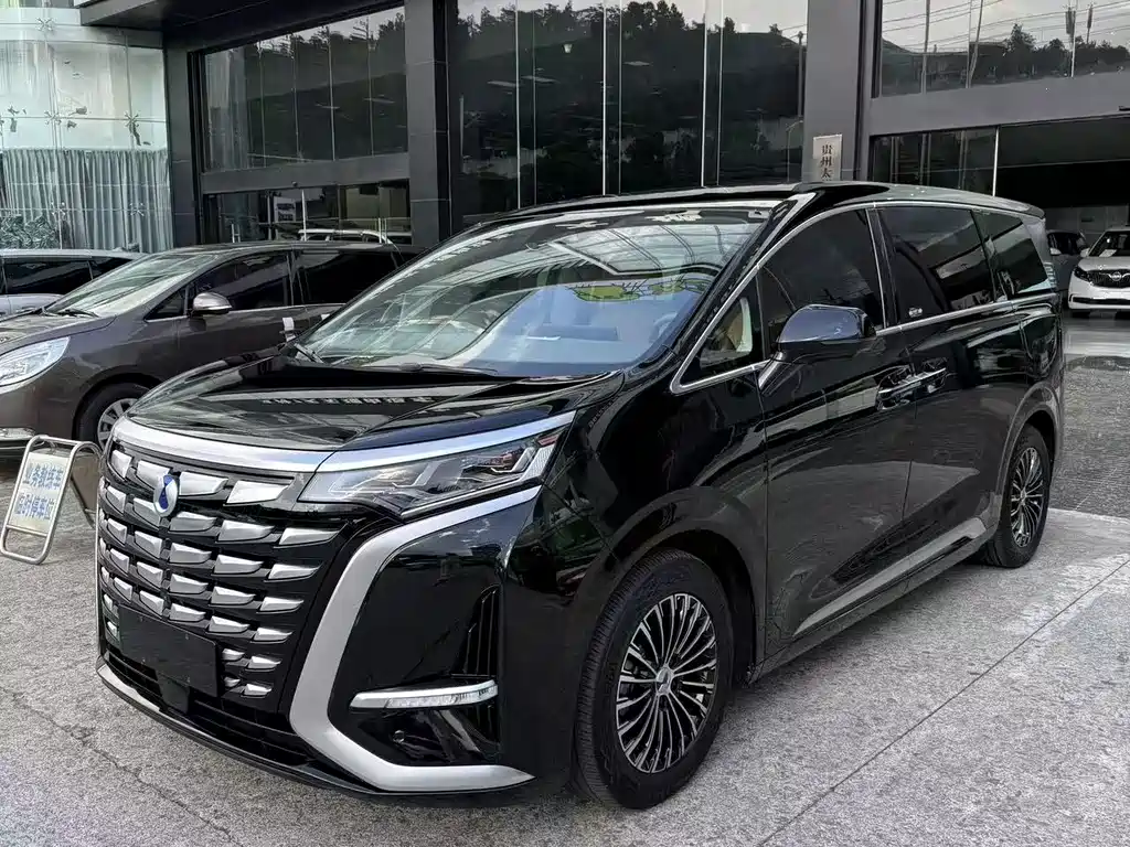 Denza D9 2023 — фото 2