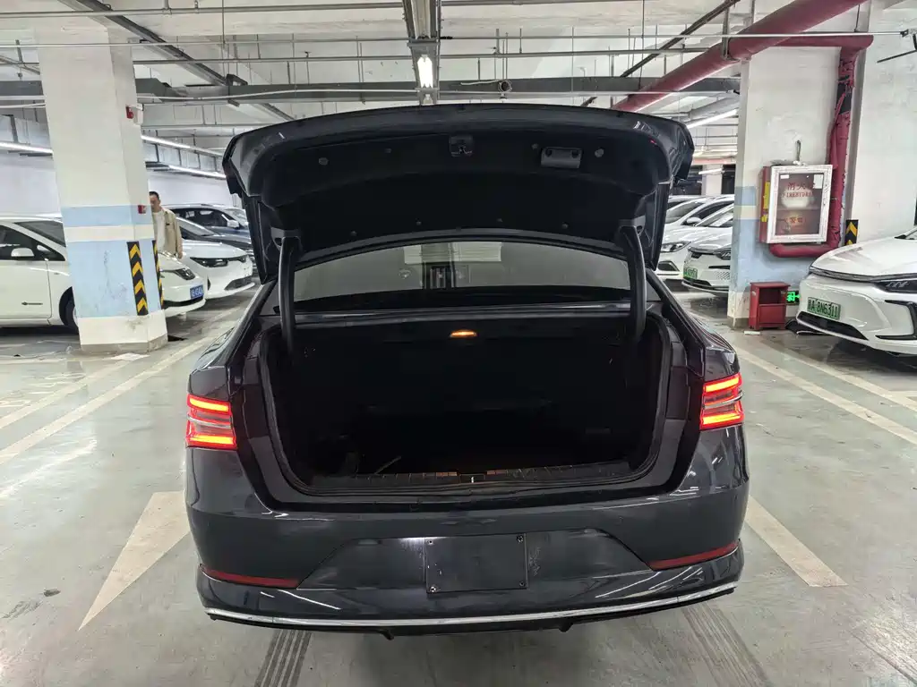 BYD Qin Pro NEV 2020 — фото 16