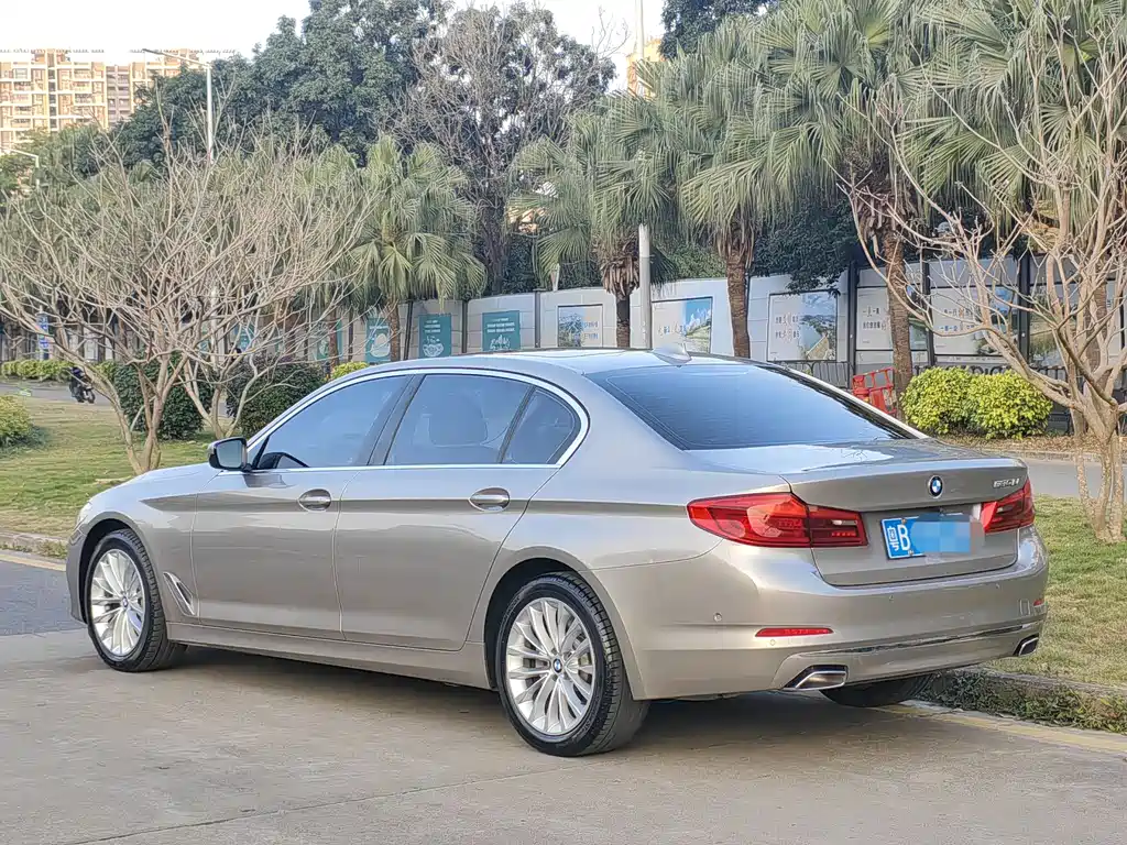 BMW 5 Series 2019