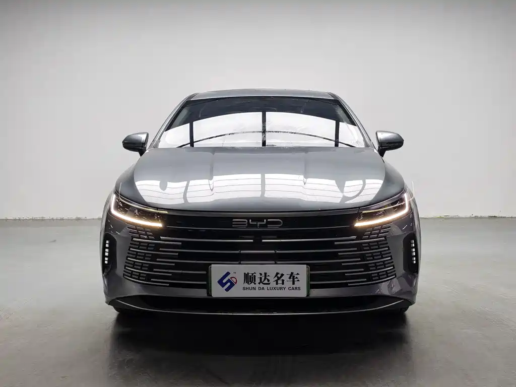 BYD Destroyer 05 2025 — фото 2