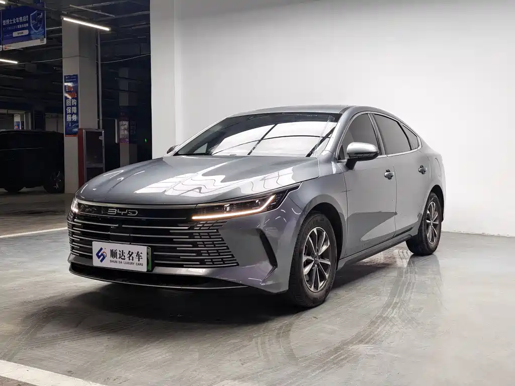 BYD Destroyer 05 2025 — фото 1