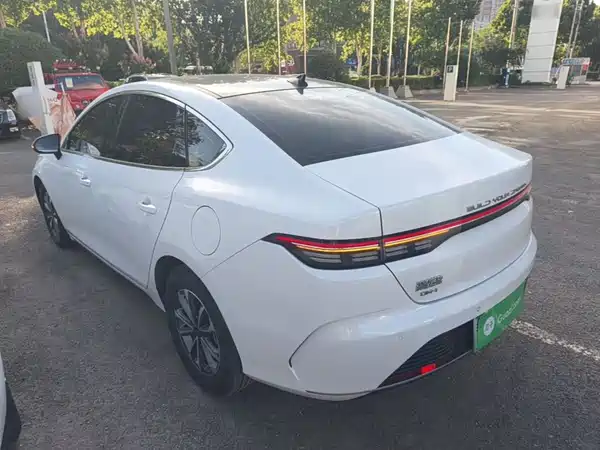 BYD Destroyer 05 2024