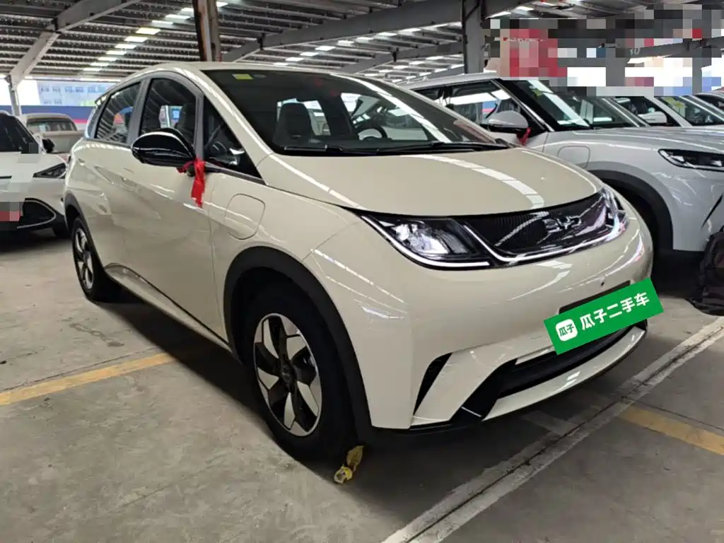 BYD Dolphin 2026