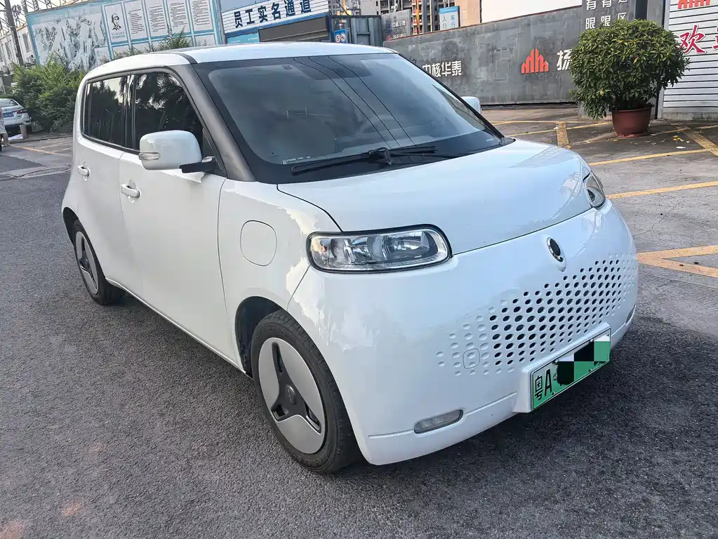 Ora White Cat 2021