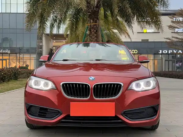 BMW 2 Series 2018
