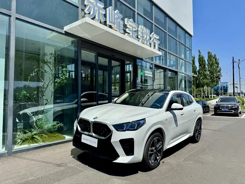 BMW X2 2025 — фото 5