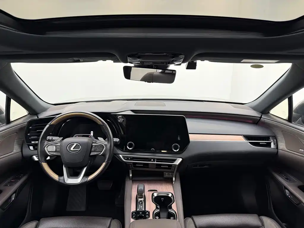 Lexus RX New Energy 2023 — фото 11