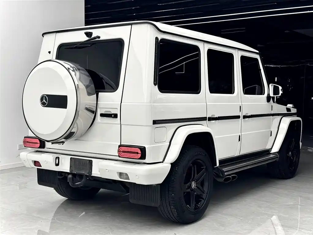 Mercedes-Benz G-Class 2016 — фото 18