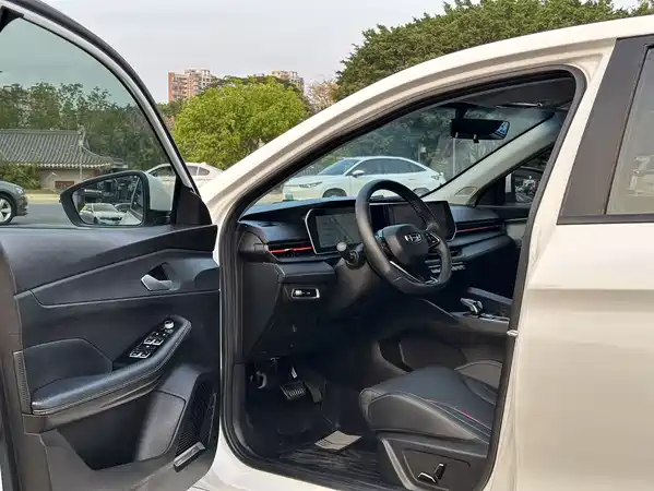 Geely Binrui 2024