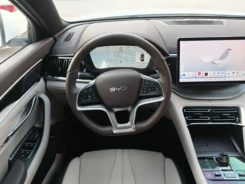 BYD Song PLUS New Energy 2025 — фото 11