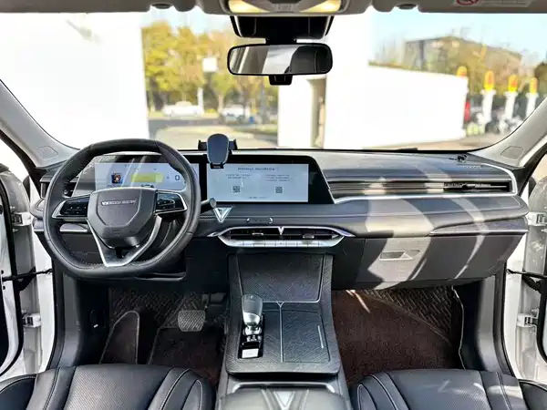 Venucia Big V 2022