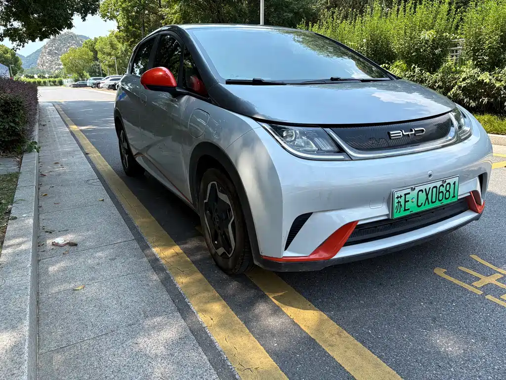 BYD Dolphin 2022