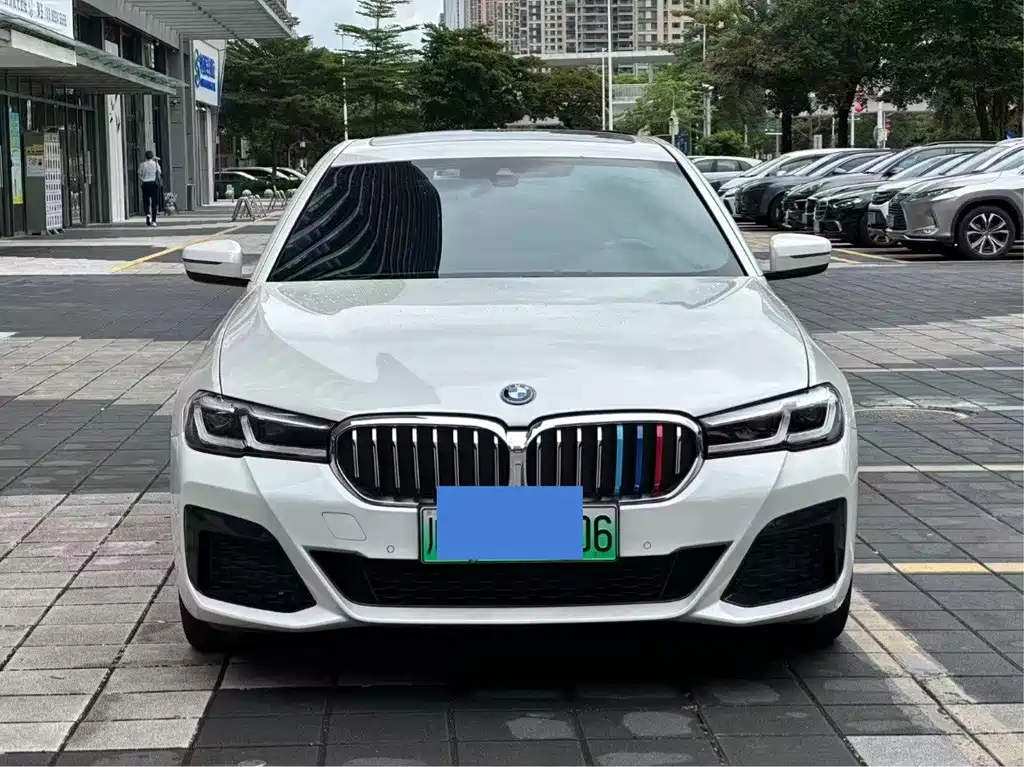 BMW 5 Series New Energy 2021