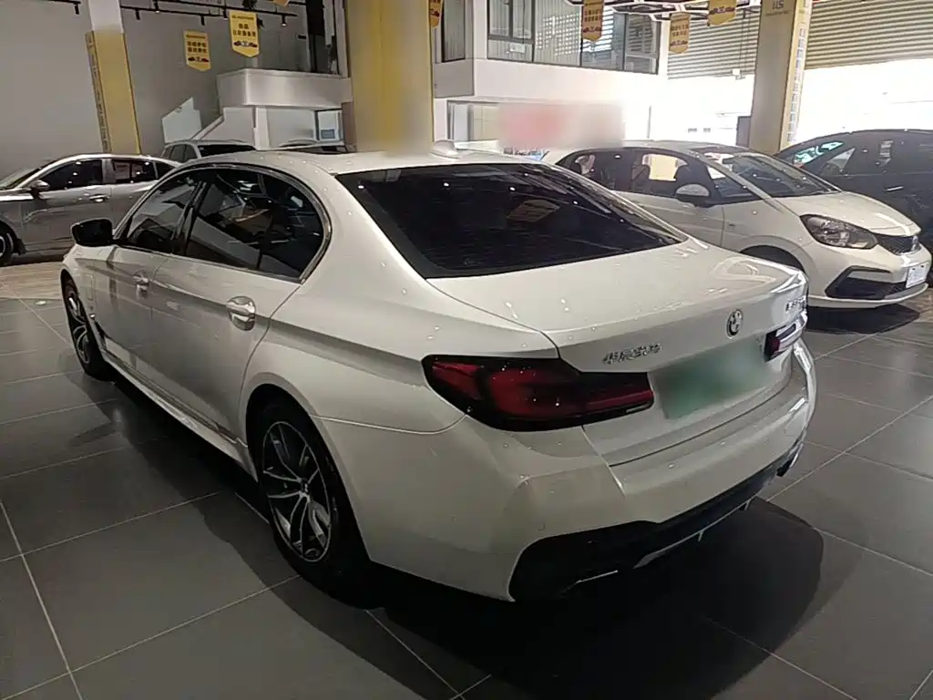 BMW 5 Series New Energy 2021