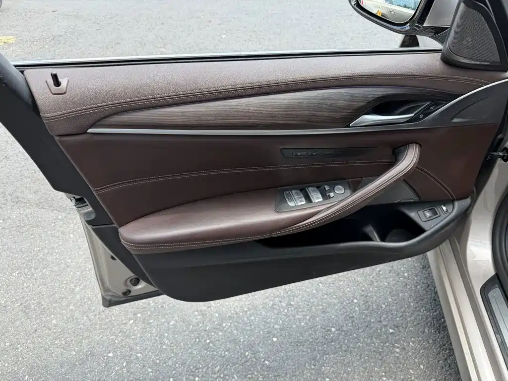 BMW 5 Series New Energy 2020