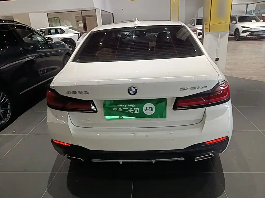 BMW 5 Series New Energy 2021