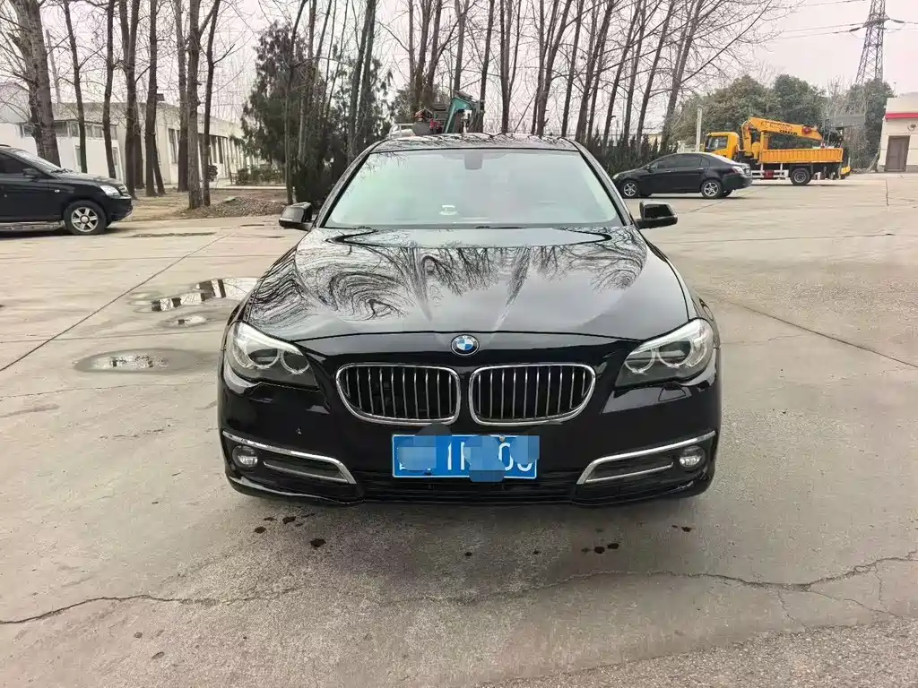 BMW 5 Series 2015 — фото 1