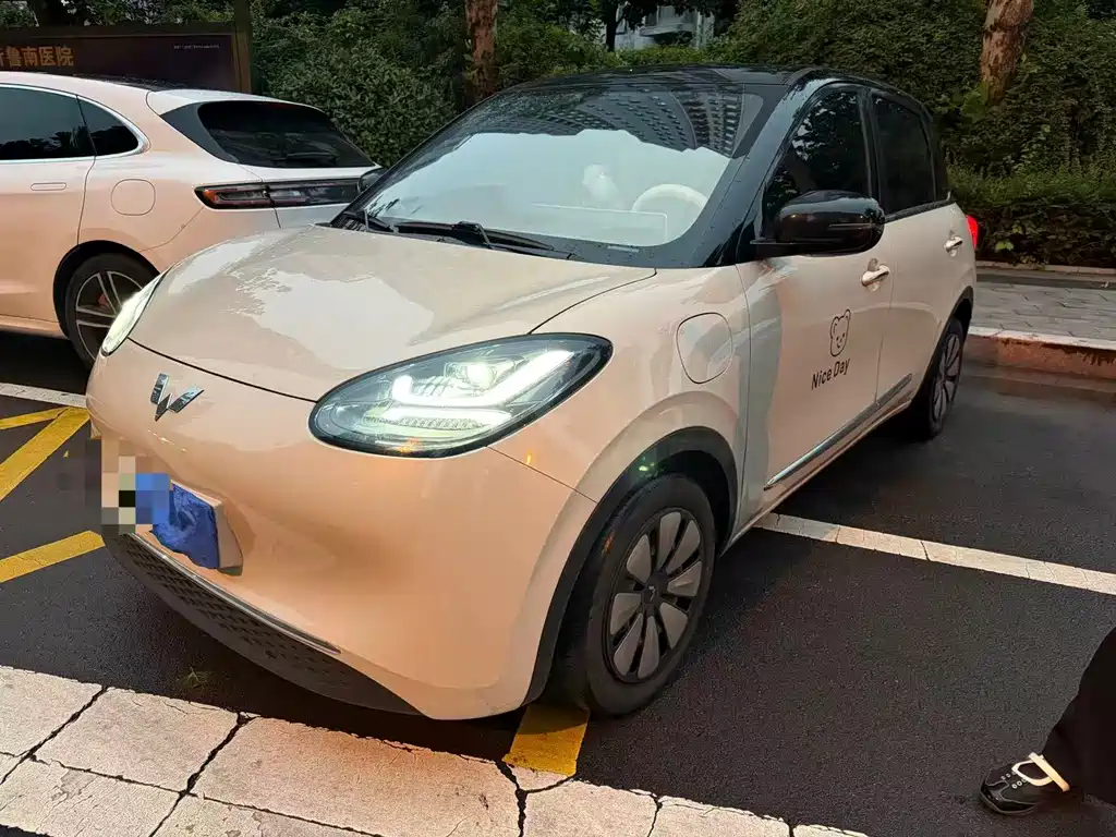 Wuling Bingo 2024