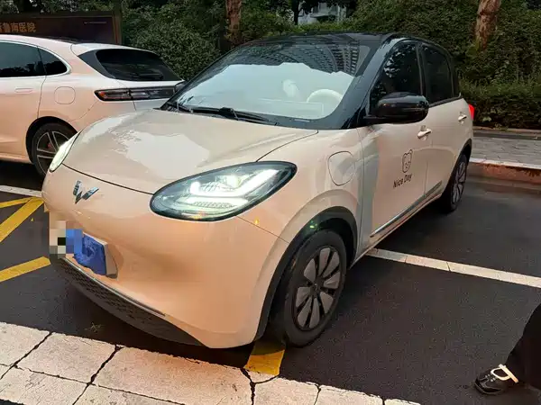 Wuling Bingo 2024