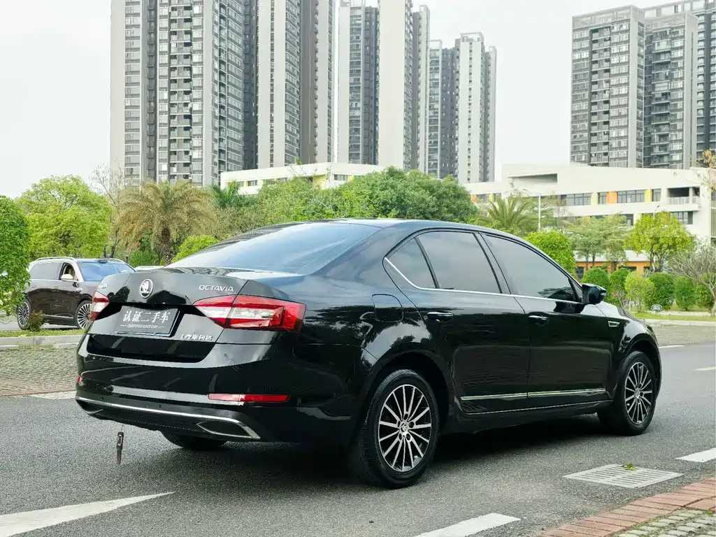 Skoda Octavia 2019 — фото 18