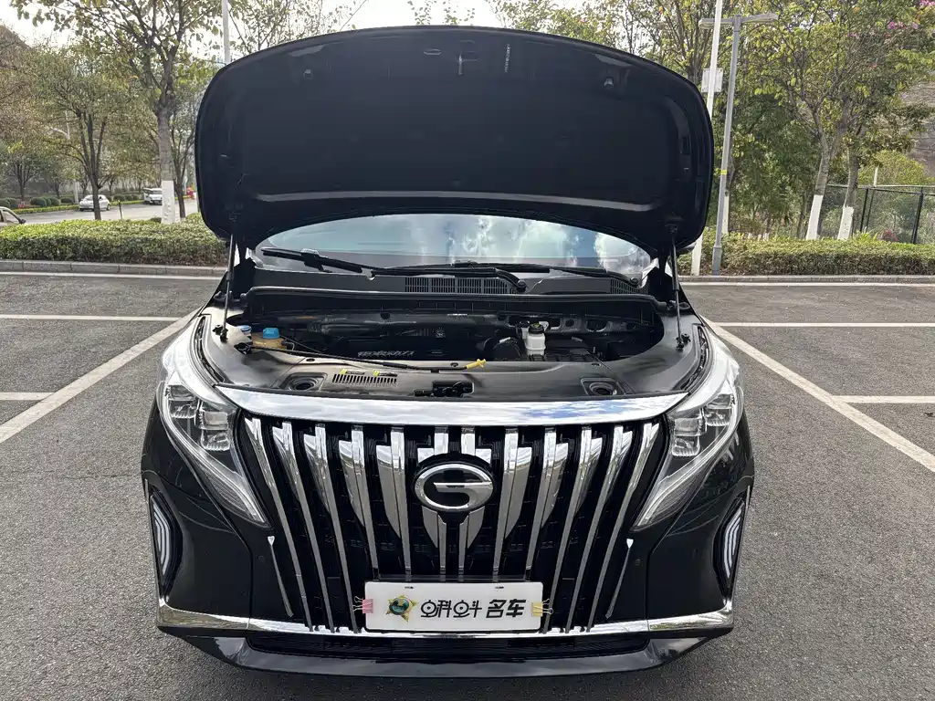 GAC Motor Trumpchi M8 2022 — фото 17