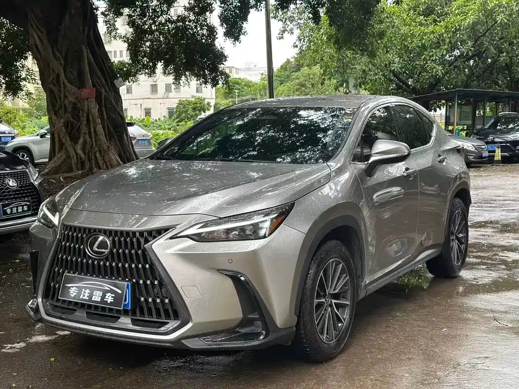 Lexus NX 2025 — фото 1