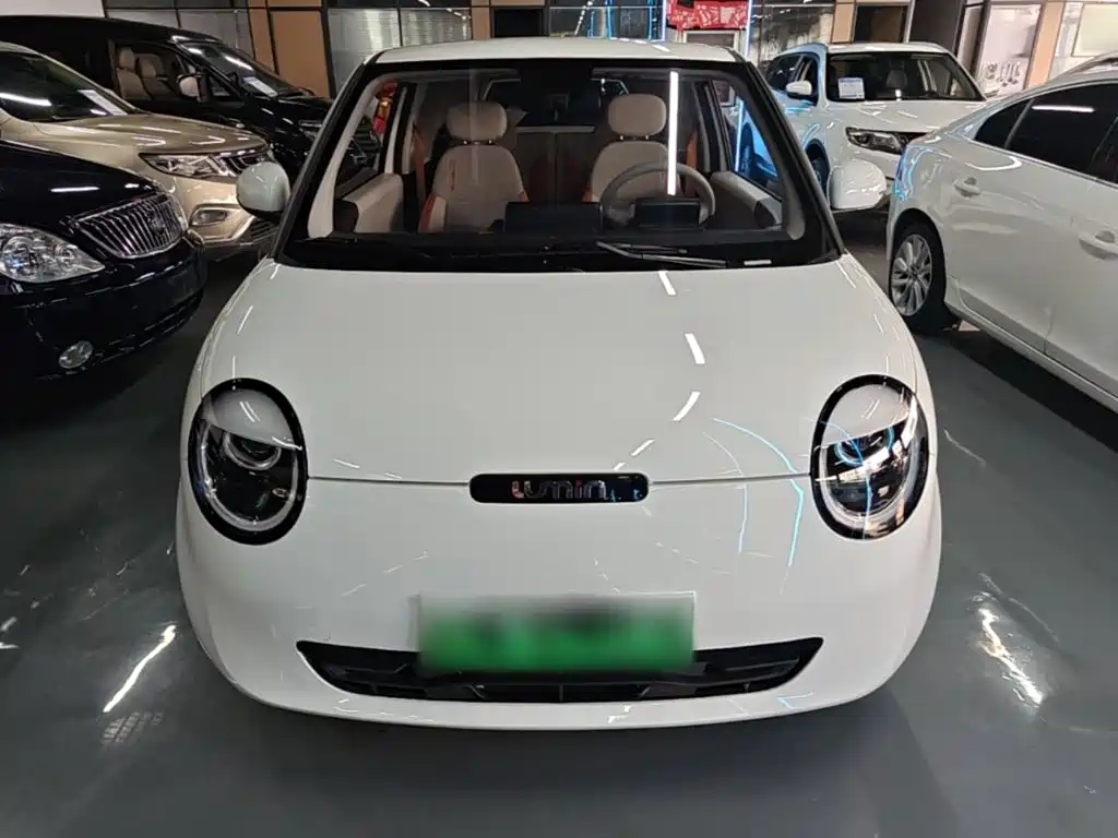 Qiyuan Lumin 2025