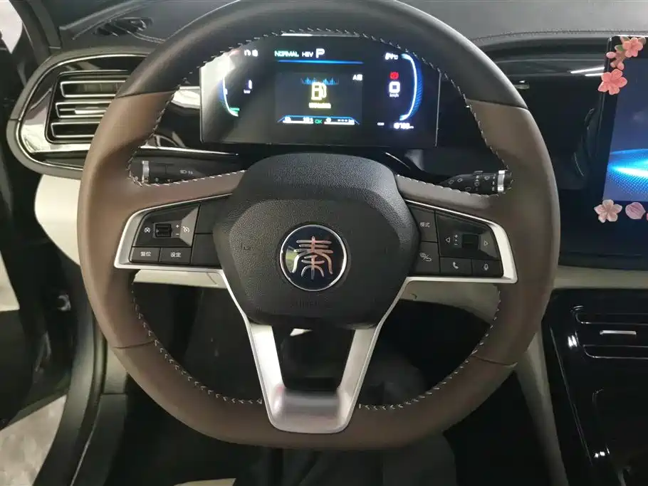 BYD Qin PLUS 2024 — фото 15
