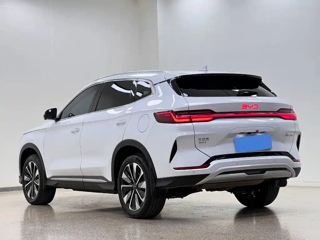 BYD PLUS New Energy 2024 — фото 5