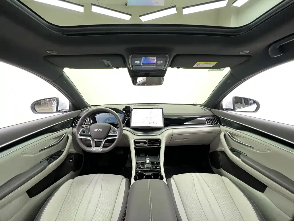 BYD PLUS New Energy 2024 — фото 10