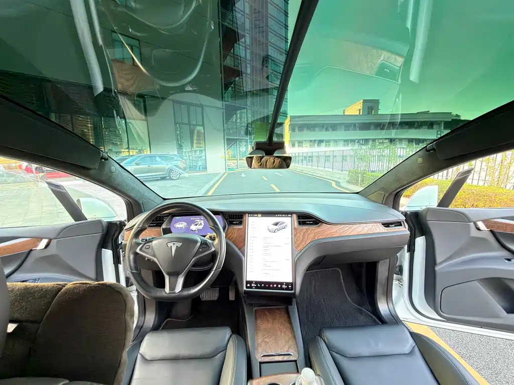 Tesla Model X 2020 — фото 11