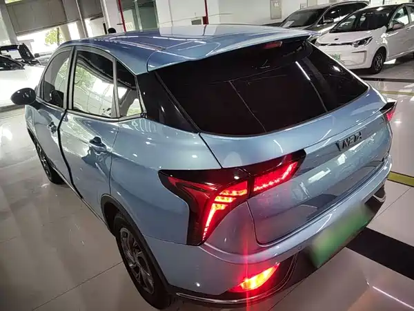 Neta V 2022