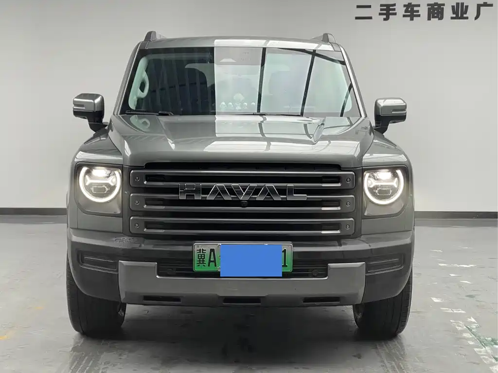 Haval Menglong New Energy 2024