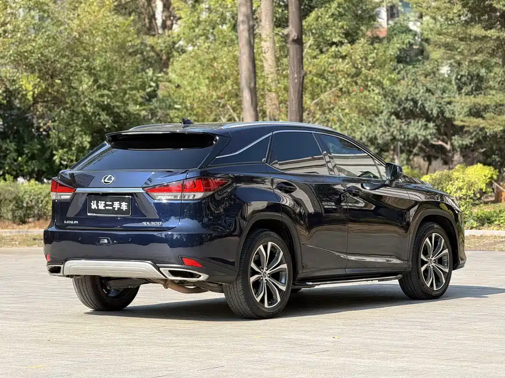 Lexus RX 2020 — фото 21