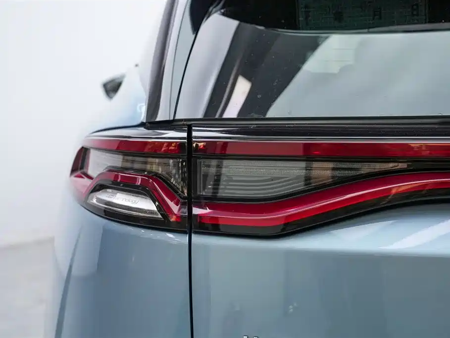 BYD Tang New Energy 2024 — фото 15