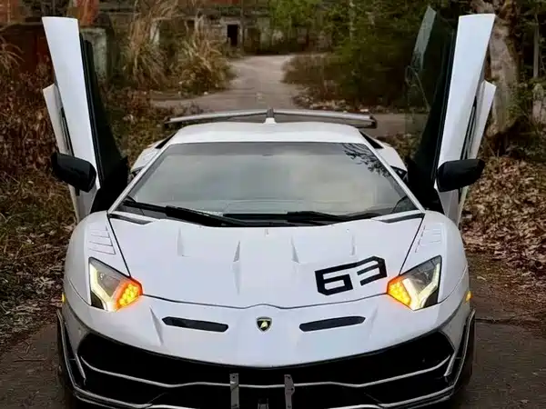 Lamborghini Aventador 2013