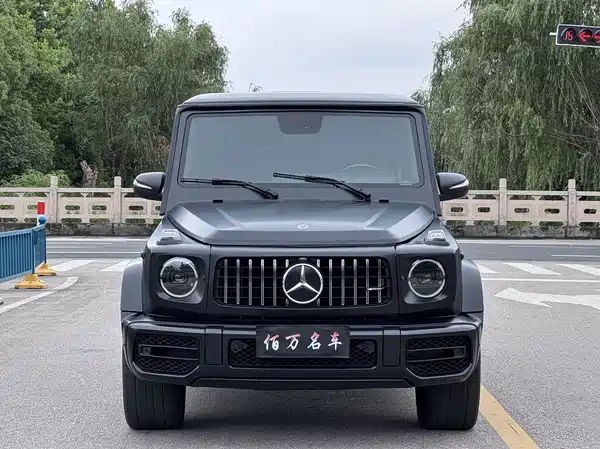 Mercedes-Benz G-Class 2010