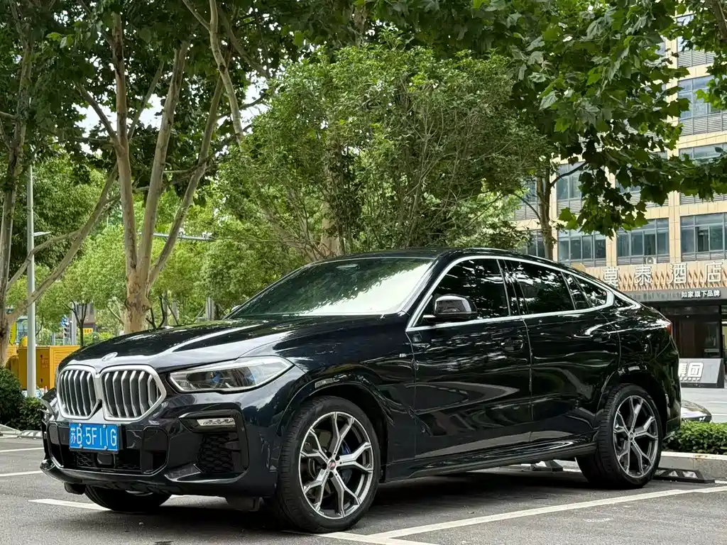 BMW X6 2021