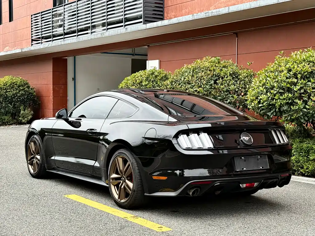 Ford Mustang 2017 — фото 13