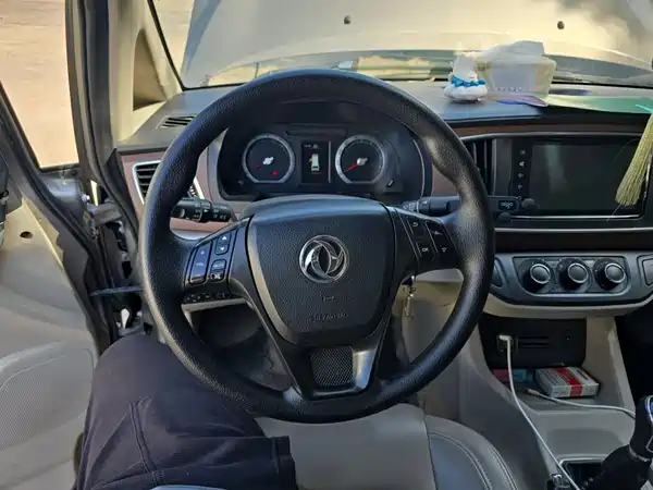 Dongfeng Lingzhi 2020