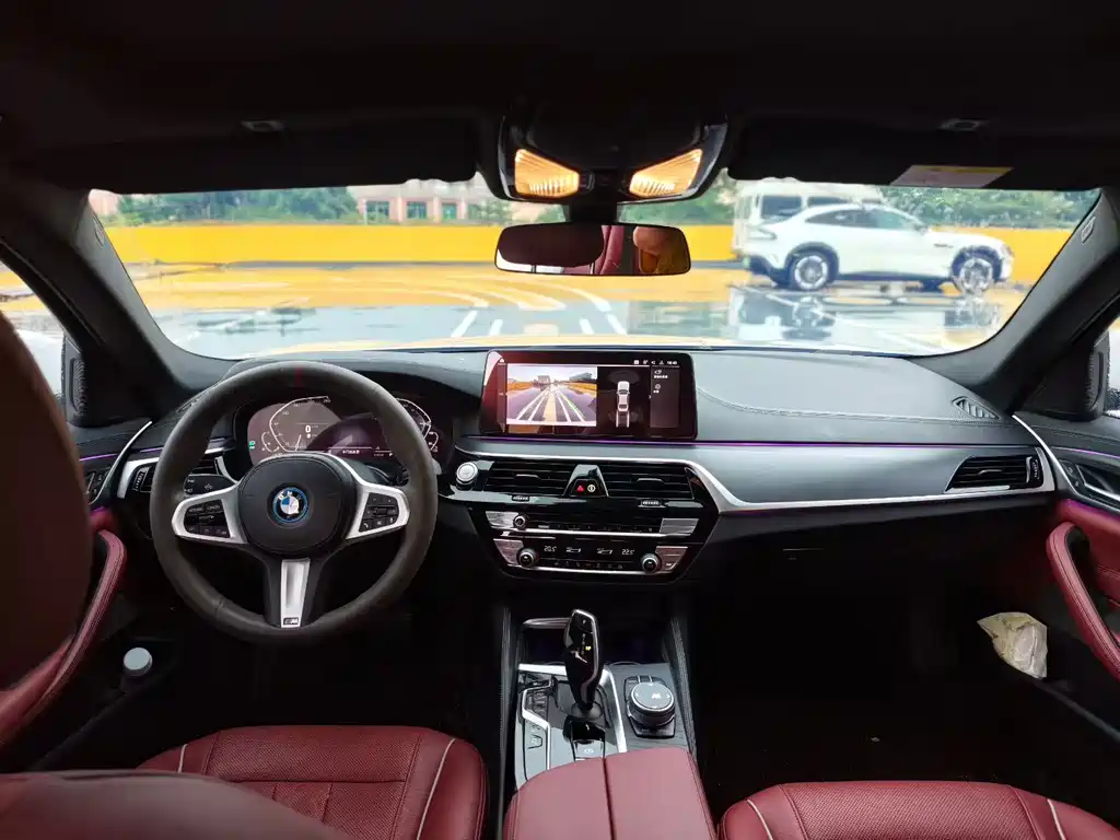 BMW 5 Series New Energy 2021