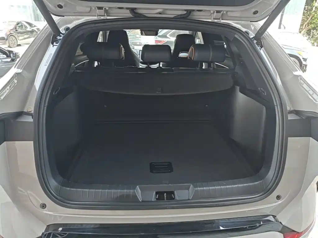 BYD Song PLUS New Energy 2023 — фото 19