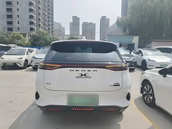 Denza X 2020