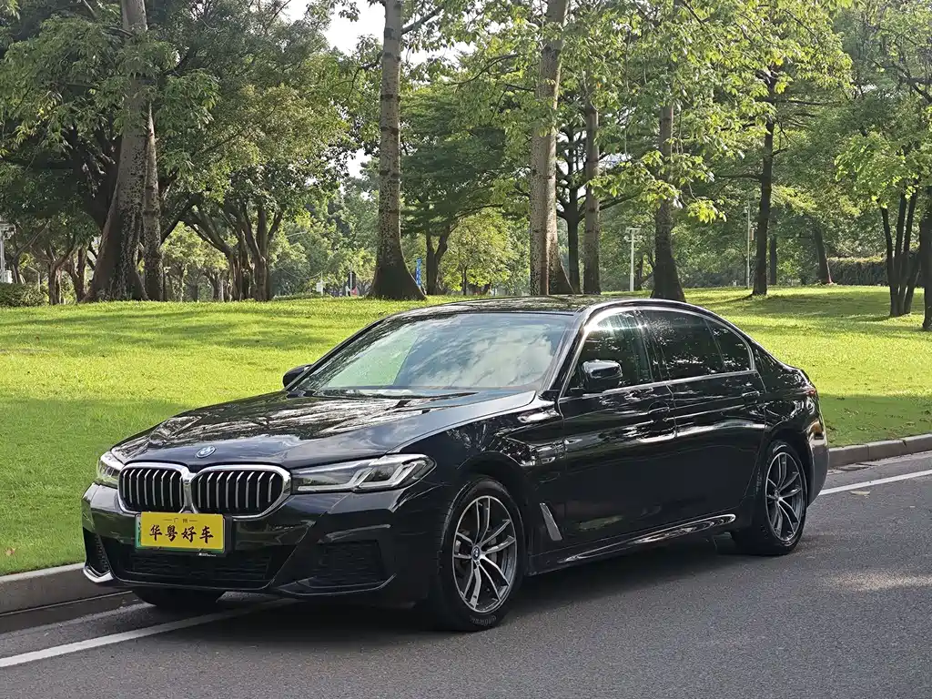 BMW 5 Series New Energy 2022