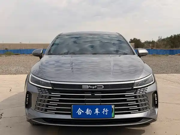 BYD Destroyer 05 2024